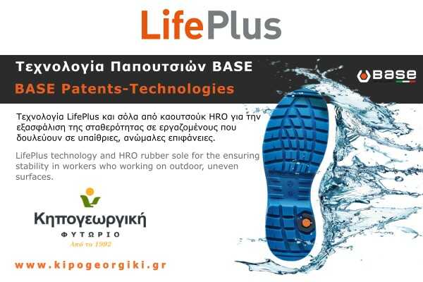 LifePlus